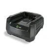 Зарядное устройство Greenworks 82V GC82C 4А купить в Минске