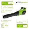 Воздуходув аккумуляторный Greenworks 40V GD40BG3 (1хАКБ 4Ач и ЗУ) купить в Минске