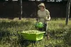 Садовая тележка самоходная Greenworks 40V G40GCK4 (1хАКБ 4 Ач и ЗУ) 106л купить в Минске