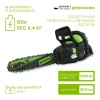 Цепная пила аккумуляторная Greenworks GD60CS25 купить в Минске
