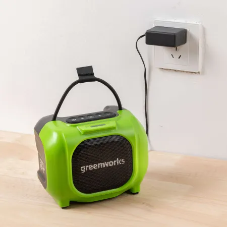 Беспроводная акустическая система аккумуляторная Greenworks GPT-MNBS 24V/220V (без АКБ и ЗУ) купить в Минске