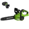 Цепная пила аккумуляторная Greenworks 24V G24CS25K4 (1хАКБ 4Ач и ЗУ) 25см купить в Минске